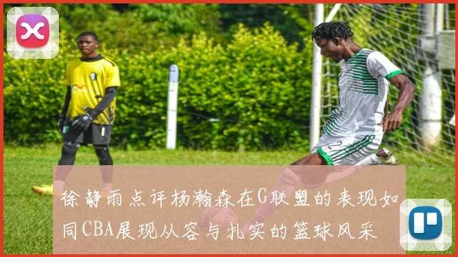 徐静雨点评杨瀚森在G联盟的表现如同CBA展现从容与扎实的篮球风采