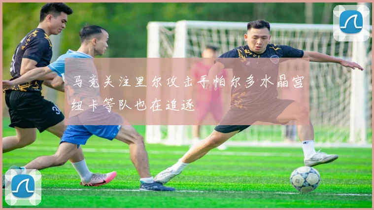马竞关注里尔攻击手帕尔多水晶宫纽卡等队也在追逐